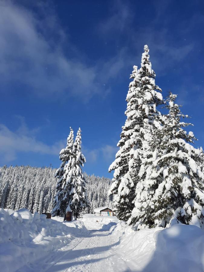 Vila Jelena Jahorina Extérieur photo