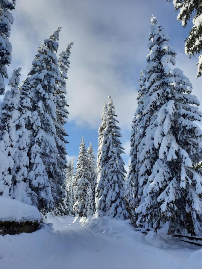 Vila Jelena Jahorina Extérieur photo