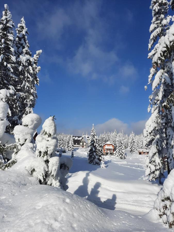 Vila Jelena Jahorina Extérieur photo